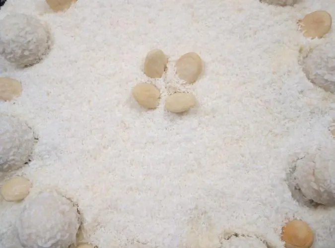 Family Bulgaria Харманли